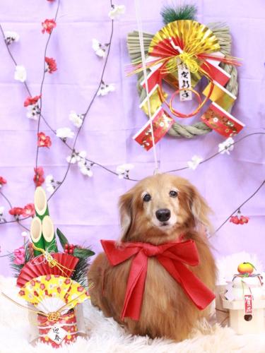 20230117ナッツくん